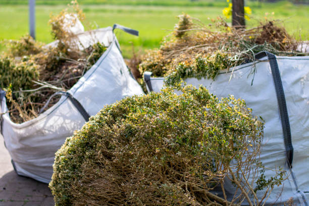 Best Construction Debris Removal  in Pocahontas, AR
